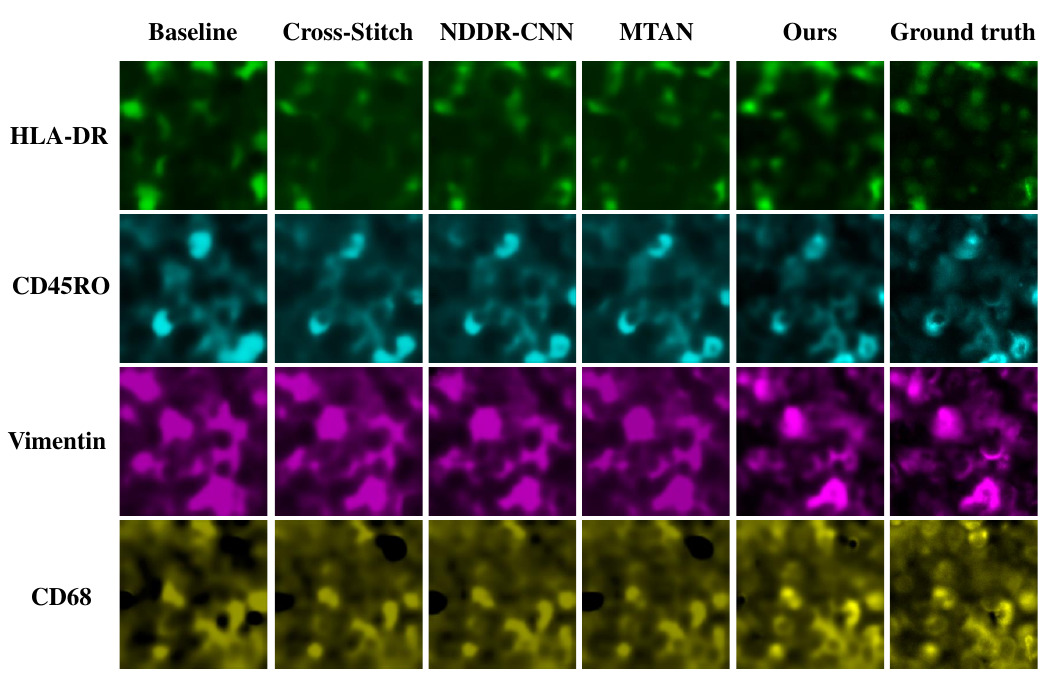 Interpolate start reference image.